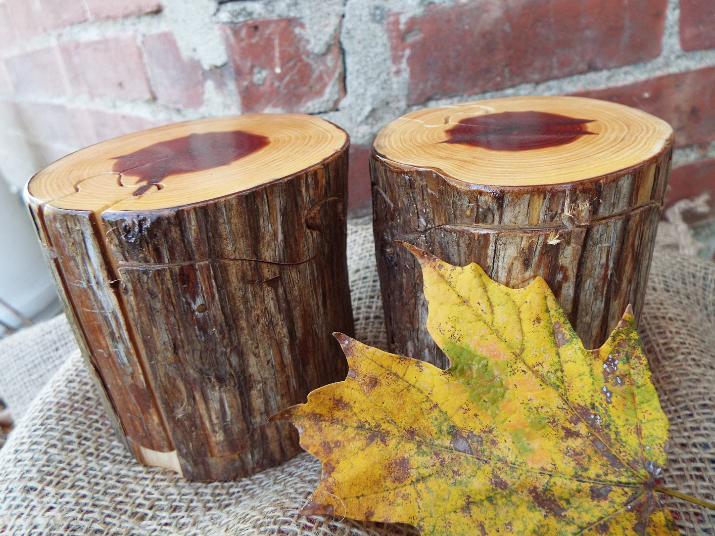 Live Edge Cedar Log Puzzle Box, Stash Box, Hostess Gift